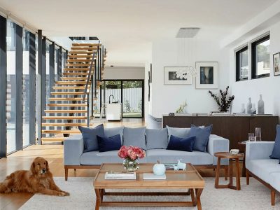 Living room with a dog